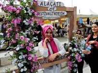 SARMAŞıK - Akın Akın Ot Festivaline Geldiler