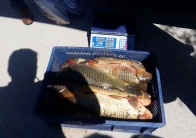 Eğirdir'de Kaçak Avcılıkla Mücadele