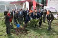 Hastanesi Bahçesine Fidan Dikildi