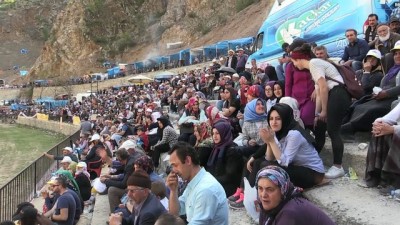 24. Yusufeli Sarıgöl Geleneksel Boğa Güreşleri