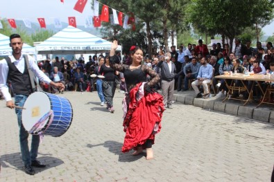 Aydın'da 8 Nisan Romanlar Günü Coşkusu