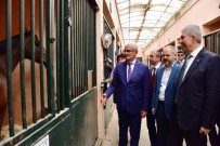 YUSUF ZIYA YıLMAZ - Bakan Demircan Tesislere Hayran Kaldı