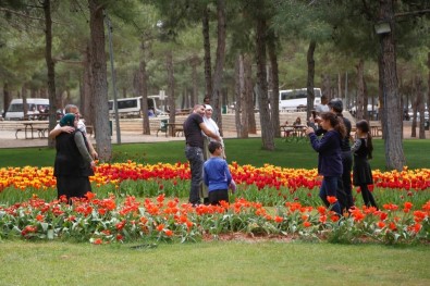 Dülük Tabiat Parkı Muhteşem Manzarasıyla Hayran Bıraktırıyor