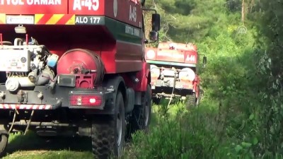 Hatay'da Orman Yangını