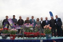 KOCAELİ VALİSİ - Kocaeli'de En Güzel Laleler Yarıştı