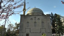 OSMANLı DEVLETI - Mimar Sinan'ın Eseri Kurşunlu Camisi İhtişamını Koruyor