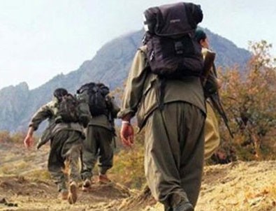 Terör örgütü PKK'nın Ağrı Dağı grubuna ağır darbe
