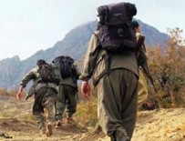TERÖR OPERASYONU - Terör örgütü PKK'nın Ağrı Dağı grubuna ağır darbe