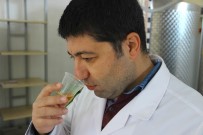 BALıKESIR ÜNIVERSITESI - Zeytinyağını Koklayarak Ve Tadarak Alın