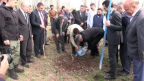 SÜLEYMAN ELBAN - Ağrı'da 'Meyve Yetişmez' Algısını Değiştirecek Proje