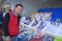 BALIK TEZGAHLARI - Balık Sezonun Kapanmasına Günler Kaldı