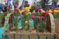 KOCAELİ VALİSİ - Bu Da En Güzel Lale Yarışması