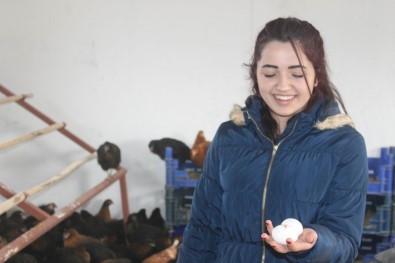 Öğrenciler Okulda Kurulan Kümeste Yumurta Üretiyor