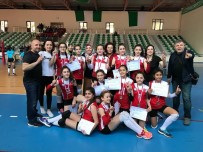 VOLEYBOL TAKIMI - Sakarya Ortaokulu Finale Yükseldi