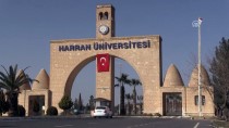 HARRAN ÜNIVERSITESI - Türkçe Öğrenip Üniversite Hayallerine Kavuştular