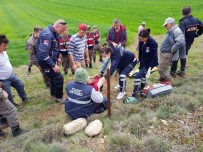 KAYGıSıZ - Yenipazar'da Kaybolan Yaşlı Adam Yaralı Bulundu