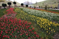 ALPARSLAN TÜRKEŞ - Büyükşehir, Şehre 650 Bin Lale, 900 Bin Çiçek Dikti