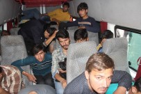İNCIRLIK - 15 Kişilik Minibüsten 33 Kaçak Göçmen Çıktı