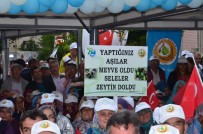 BÖLÜNMÜŞ YOLLAR - Balıkesir'e Yatırım Rüzgarı