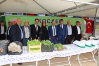 MUSTAFA GÜLER - Çiftçiler Şenlikte Buluştu