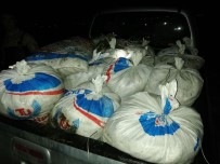 İNCİ KEFALİ - Erciş'te 900 Kilo Kaçak Balık Ele Geçirildi