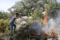ZEYTINLIK - Fethiye'de Zeytinlik Alanda Yangın