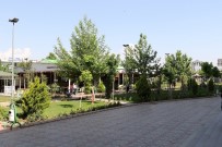HASTANE BAHÇESİ - Kahta Devlet Hastanesi Bahçesinde Peyzaj Çalışması Yapıldı