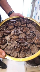 Merdiven Altı Çikolata Kaplı Cinsel Hap Üreten Çeteye Darbe