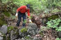 KADAVRA - Tokat'ta Kaybolan Muhtarı Kadavra Köpeği Arıyor
