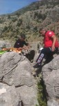 Kayalıklarda Keçi Kurtarma Operasyonu Haberi