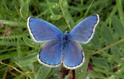 Obruk Şelalesi 230. Tabiat Parkı İlan Edildi