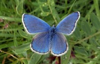 ORMAN VE SU İŞLERİ BAKANI - Obruk Şelalesi 230. Tabiat Parkı İlan Edildi