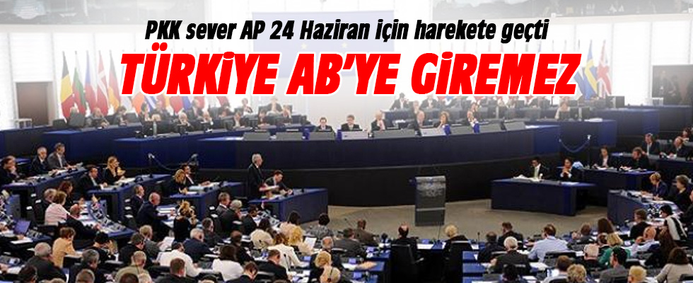 AB ve AP'de Türkiye aleyhine propagandası