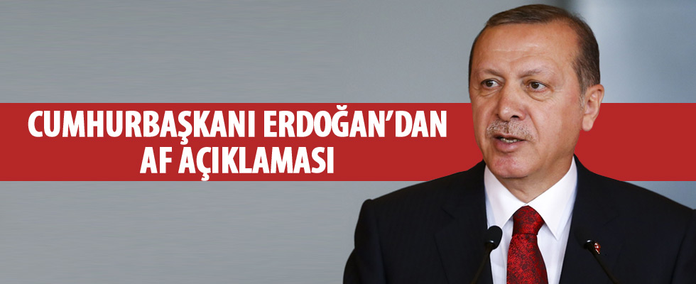 Cumhurbaşkanı Erdoğan'dan 'af önerisi' açıklaması