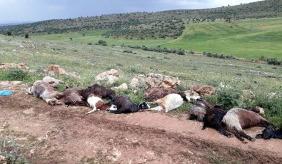 Mardin'de Yıldırım Çarpan Çoban Ağır Yaralandı