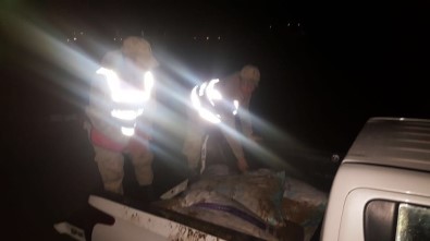 Van'da Kaçak Avlanmış Bir Ton Balık Ele Geçirildi