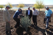 UMUTLU - Başkan Şahan 14 Mayıs Dünya Çiftçiler Gününü Kutladı