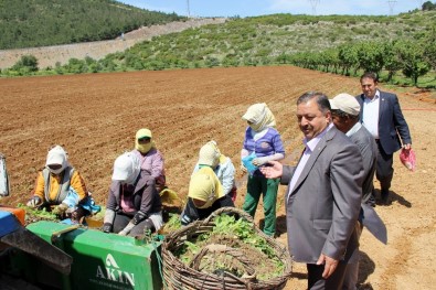 Baştuğ'dan Çiftçiler Günü Mesajı