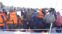 ASSOS - Çanakkale'de 40 Kaçak Göçmen Yakalandı
