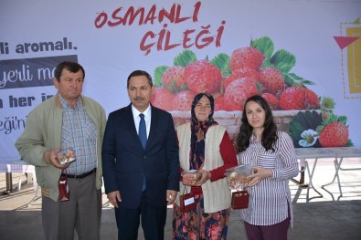 Kdz. Ereğli'de En Güzel Osmanlı Çileği Ve Pastası Seçildi