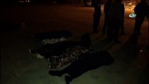 ÇANAKKALE (İHA) - Çanakkale'de Göçmenleri Taşıyan Fiber Tekne Battı Açıklaması 7 Ölü
