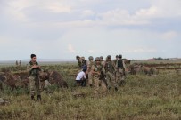 Diyarbakır'da Arazi Kavgası Açıklaması 5 Ölü, 1 Yaralı