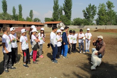 İlkokul Öğrencilerine 'Lider Çocuk Tarım Kampı' Eğitimi