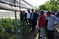 ÇİFTÇİLER GÜNÜ - İnegöl Belediye Başkanı Taban Açıklaması 'Tarım Modası Geçmeyen Tek Sektördür'