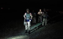 MUSTAFA AKKUŞ - Jandarma, 36 Olaya Müdahale Ederek 38 Kişi Hakkında İşlem Yaptı
