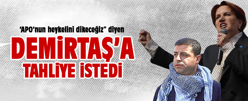 Meral Akşener Demirtaş'a tahliye istedi