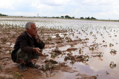 Şanlıurfa'da Kısmen Çekilen Sel Suları Geride Büyük Hasar Bıraktı
