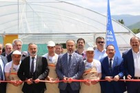 BURSA VALİLİĞİ - Engelli Bireyler Toprakla Buluştu