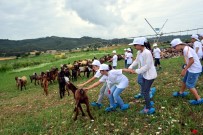ORGANIK TARıM - Adana'da Çocuklar Tarımla Buluştu
