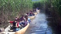 KOCATEPE ÜNIVERSITESI - Eber Gölü Doğa Tutkunlarını Ağırlıyor